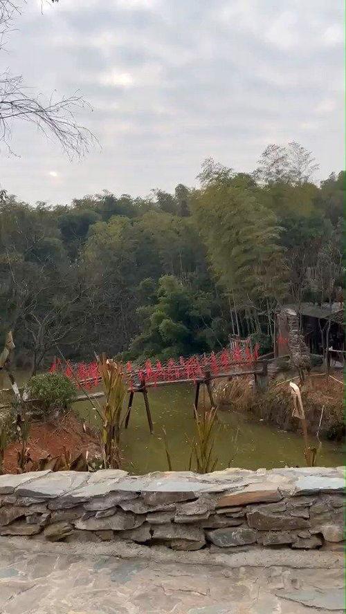 花溪新闻爆料最新情况,事件进展及关键细节披露