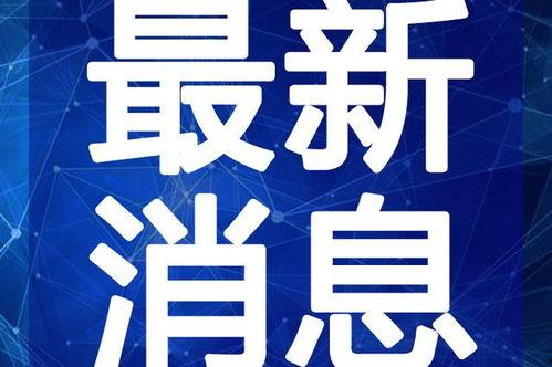 台山教师爆料视频最新,揭露教育行业背后真相